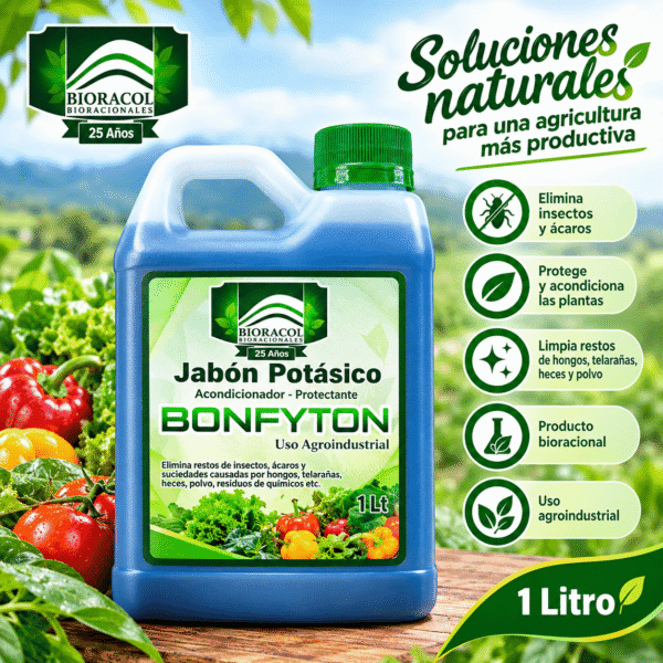 BONFYTON - JABÓN POTÁSICO X 1 LT.