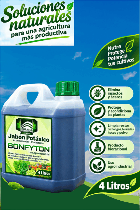 BONFYTON - JABÓN POTÁSICO X 4 LTS.